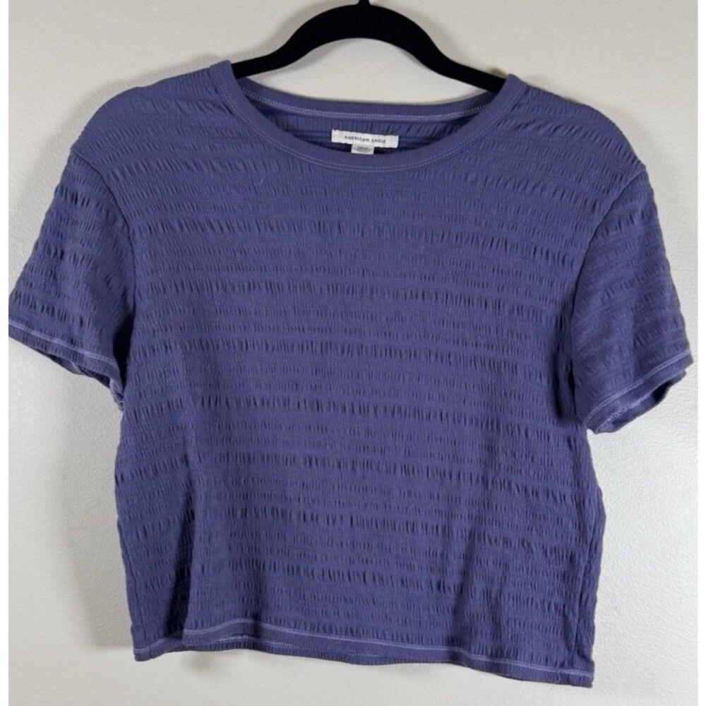 American Eagle Womens Purple Solid Knit Cropped Crew Neck T-Shirt - S
